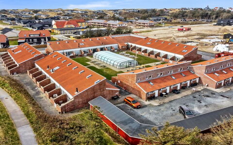Emiliana - 500M from the Sea: Planta De La Comunidad, Luz De Sol, Planta Herbácea, Jardín, Plantación, Agricultura, Granja