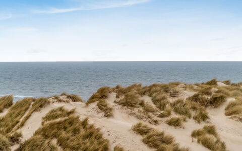 Radica - 50M from the Sea: Azul, Entorno Natural, Arena, Ecorregión, Horizonte, Playa, Costa, Mar, Apuntalar