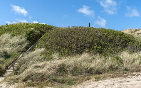 Abbie - 10M from the Sea: Hierba, Vegetación, Arbusto, Planta De La Comunidad, Ecorregión, Paisaje, Pradera, Shrubland, Pendiente