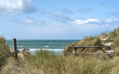 Abbie - 10M from the Sea