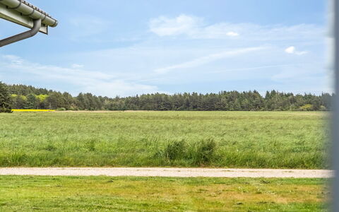Aja - 900M from the Sea: 