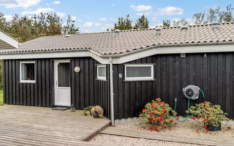 Aja - 900M from the Sea: 
