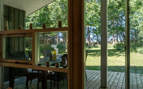 Ninetta - 650M from the Sea: 
