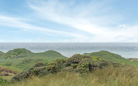 Viktoria - 400M from the Sea: Cielo, Azul, Verde, Hierba, Nube, Horizonte, Vegetación, Paisaje Natural, Colina, Tierras Altas