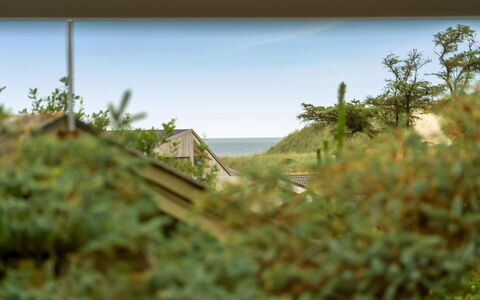 Aija - 375M from the Sea: 