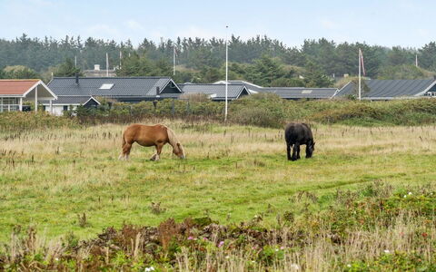 Helma - 200M from the Sea: Madera, Casa, Cabaña, Casa, Techo, Área Rural, Vía Muerta, Cuarto De Troncos, Edificios Del Jardín, Madera Dura