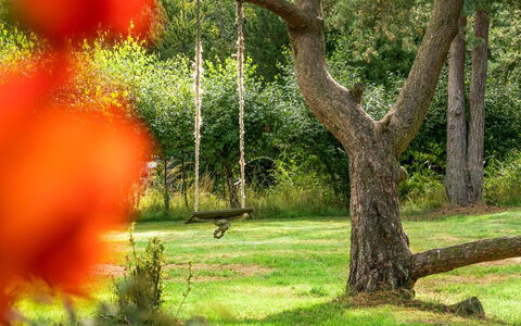 Ariela - 1.1Km from the Sea: Cubrir Con Paja, Cabaña, Casa, Techo, Casa, Casa De Campo, \Choza, Inmuebles, Pueblo