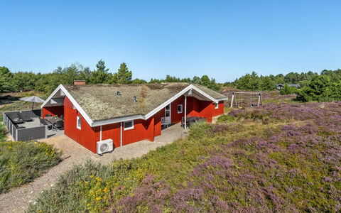 Asdis - 2.8Km from the Sea: Flor Silvestre, Shrubland, Chaparral