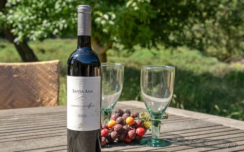 Mojag - 1Km from the Sea: Botella, Vino, Vino Tinto, Botella De Vino, Botella De Vidrio, Barware