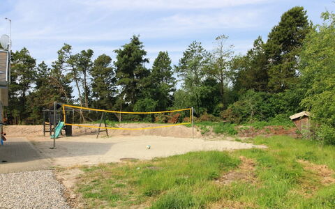 Nael - 1.6Km from the Sea: Árbol, El Terreno Del Lote, Suelo, Sombra, Arena, Parque, Hojas Perennes