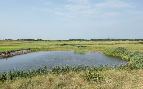 Helvig - 2.3Km from the Sea: Agua, Pantano, Los Recursos Hídricos, Entorno Natural, Paisaje Natural, Pradera, Llanura, Ecorregión