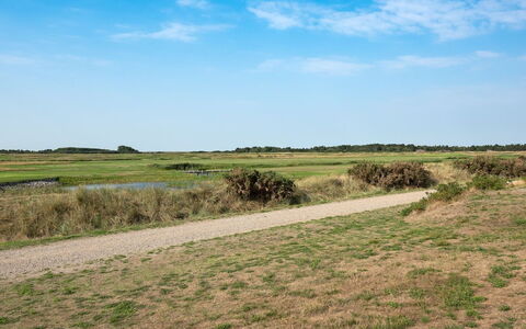 Jovanka - 2.3Km from the Sea: Cielo, Azul, Verde, Hierba, Pradera, Entorno Natural, Ecorregión, Paisaje Natural, Vegetación, Llanura