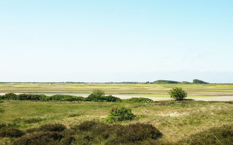 Sighwald - 2.3Km from the Sea: Cielo, Verde, Hierba, Pradera, Paisaje Natural, Ecorregión, Vegetación, Llanura, Estepa, Pradera