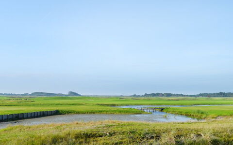 Nayana - 2.3Km from the Sea: Cielo, Verde, Entorno Natural, Paisaje Natural, Pradera, Llanura, Pantano, Ecorregión, Horizonte, Nube