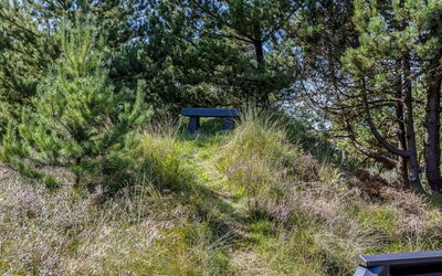 Roald - 2.2Km from the Sea