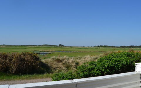 Drita - 2.3Km from the Sea: Cielo, Verde, Hierba, Pradera, Llanura, Ecorregión, El Terreno Del Lote, Estepa, Pradera