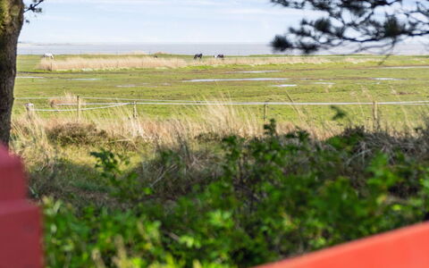 Sedine - 3.9Km from the Sea: Planta De La Comunidad, Luz De Sol, Planta Herbácea, Jardín, Plantación, Agricultura, Granja