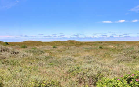 Zekine - 2.5Km from the Sea: Cielo, Azul, Pradera, Hierba, Entorno Natural, Ecorregión, Vegetación, Horizonte, Paisaje Natural, Llanura