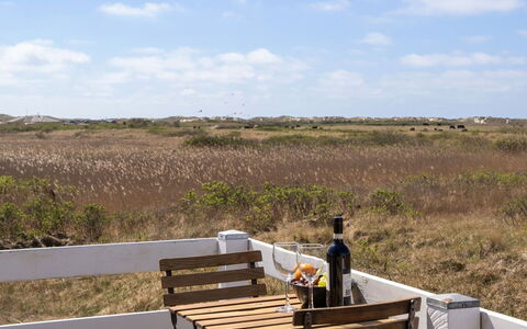 Blomma - 350M from the Sea: Planta De La Comunidad, Luz De Sol, Planta Herbácea, Jardín, Plantación, Agricultura, Granja