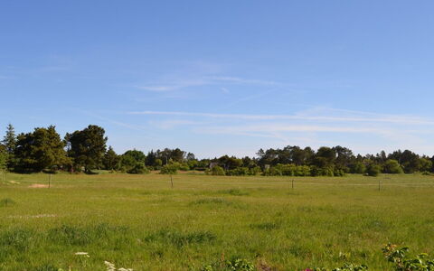 Naili - 3.1Km from the Sea: Azul, Verde, Hierba, Pradera, Paisaje Natural, Vegetación, Llanura, Ecorregión, Pradera, El Terreno Del Lote