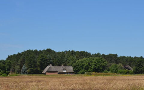 Naili - 3.1Km from the Sea: Hierba, Árbol, Pradera, Vegetación, Casa, Techo, Cabaña, Llanura, Área Rural