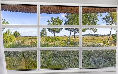 Artan - 2.6Km from the Sea: Hierba, Pradera, Paisaje, Ecorregión, Llanura, Planta De La Comunidad, El Terreno Del Lote, Mueble Para Exteriores, Pradera, Shrubland