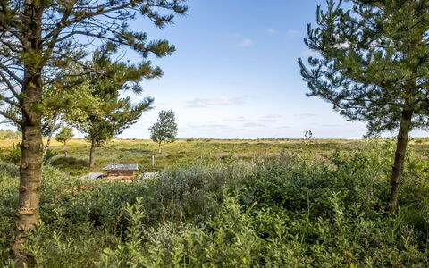 Artan - 2.6Km from the Sea: Hierba, Pradera, Paisaje, Ecorregión, Llanura, Planta De La Comunidad, El Terreno Del Lote, Mueble Para Exteriores, Pradera, Shrubland