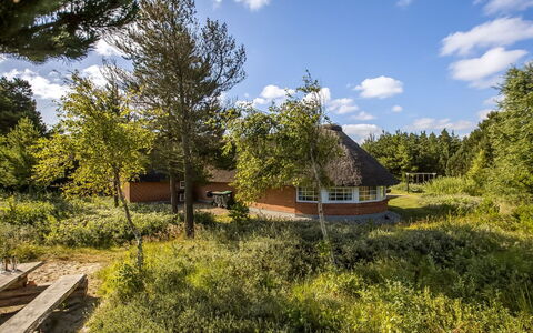 Artan - 2.6Km from the Sea: Hierba, Pradera, Paisaje, Ecorregión, Llanura, Planta De La Comunidad, El Terreno Del Lote, Mueble Para Exteriores, Pradera, Shrubland