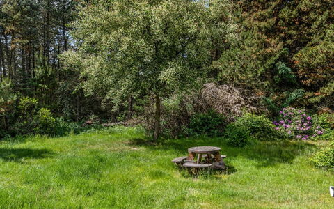 Jul - 900M from the Sea: Árbol, Hierba, Verde, Hoja, Vegetación, Arbusto, Jardín, Planta De La Comunidad, Pradera, El Terreno Del Lote