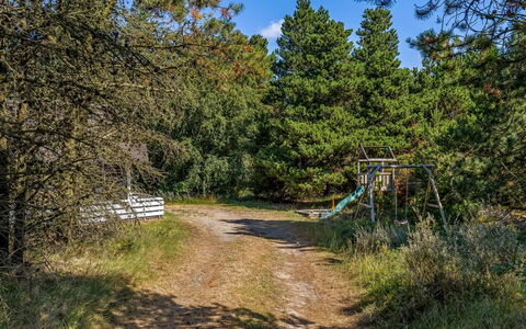 Lin - 2.9Km from the Sea: Árbol, Hierba, Hoja, Naturaleza, Rama, Vegetación, Arbusto, Sendero, Planta De La Comunidad, Bosque