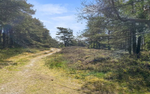 Mikaela - 1Km from the Sea: Hierba, Casa, Techo, Casa, Cabaña, Arbusto, El Terreno Del Lote, Área Rural, Casa De Campo, Cobertura Del Suelo