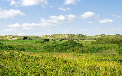 Mortensen - 350M from the Sea: Cabaña, Cobertizo, \Choza, Casa De Campo, Pradera, Choza, Granero, Cuarto De Troncos, Edificios Del Jardín