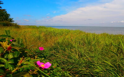 Vivan - 3.8Km from the Sea