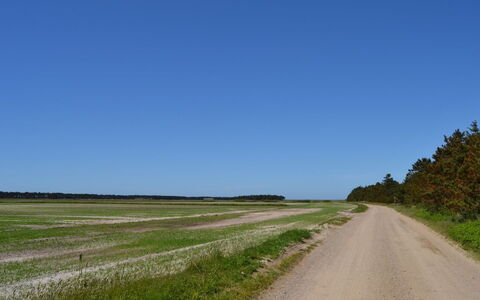 Almina - 1Km from the Sea: La Carretera, Paisaje Natural, Horizonte, Llanura, Pradera, Ecorregión, Campo, El Terreno Del Lote, Estepa