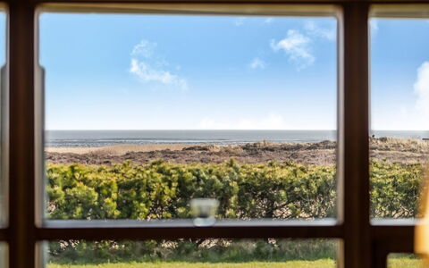 Amundi - 3.8Km from the Sea: Hierba, Pradera, Paisaje, Ecorregión, Llanura, Planta De La Comunidad, El Terreno Del Lote, Mueble Para Exteriores, Pradera, Shrubland