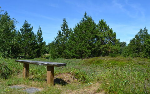 Redward - 1Km from the Sea: Hierba, Verde, Hoja, Entorno Natural, Naturaleza, Vegetación, Pradera, Arbusto, Planta De La Comunidad, Ecorregión