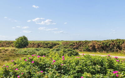 Femja - 2.3Km from the Sea
