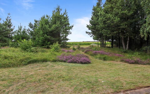 Anna - 1Km from the Sea: Hierba, Casa, Techo, Casa, Cabaña, Arbusto, El Terreno Del Lote, Área Rural, Casa De Campo, Cobertura Del Suelo