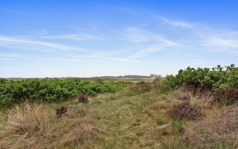 Reija - 2.3Km from the Sea: Cielo, Azul, Hierba, Verde, Entorno Natural, Pradera, Vegetación, Ecorregión, Paisaje Natural, Planta De La Comunidad