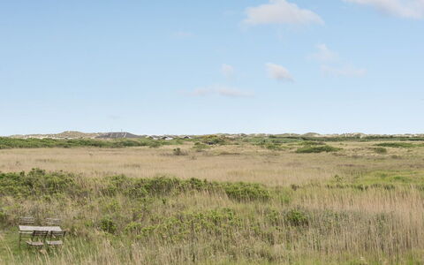 Sybilla - 700M from the Sea: Cielo, Hierba, Pradera, Entorno Natural, Ecorregión, Vegetación, Llanura, Pasto, Pradera, Estepa