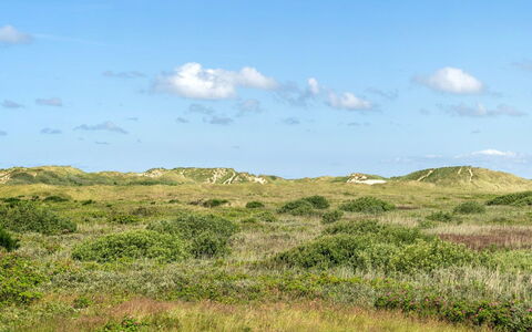 Ortwin - 300M from the Sea: Hierba, Casa, Techo, Casa, Cabaña, Arbusto, El Terreno Del Lote, Área Rural, Casa De Campo, Cobertura Del Suelo