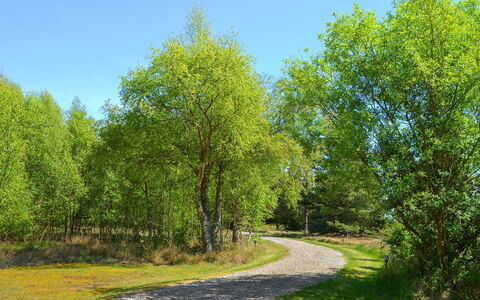 Gwen - 2.7Km from the Sea: Hoja, Árbol, Verde, Hierba, Naturaleza, Rama, Entorno Natural, Vegetación, Paisaje Natural