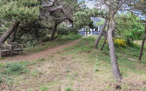 Kanutte - 400M from the Sea: Rama, Vegetación, Planta De La Comunidad, El Terreno Del Lote, El Maletero, Plantas Leñosas, Suelo, Sendero, Shrubland