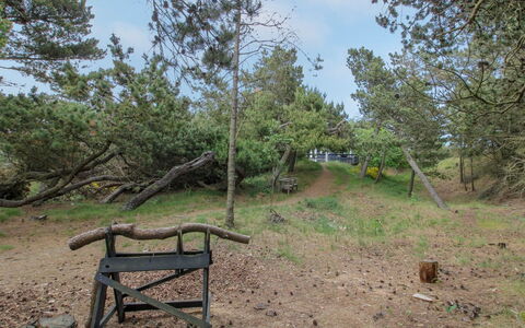 Kanutte - 400M from the Sea: Árbol, Madera, Planta De La Comunidad, El Maletero, Suelo, Plantas Leñosas, Bosque, Sendero