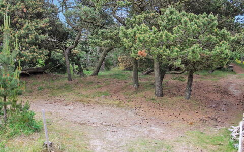 Kanutte - 400M from the Sea: Vegetación, Arbusto, Planta De La Comunidad, Suelo, Plantas Leñosas, Reserva Natural, Shrubland, Sendero