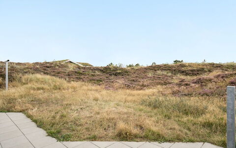 Tennie - 300M from the Sea: Hierba, Ecorregión, Pradera, Planta De La Comunidad, Marrón, El Terreno Del Lote, Shrubland, Estepa, Pradera, Chaparral