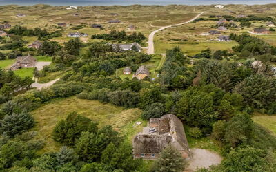 Hedi - 900M from the Sea