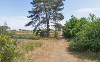 Auke - 100M from the Sea