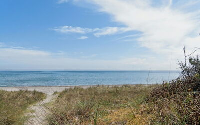 Auke - 100M from the Sea