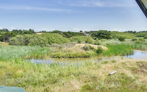 Inra - 400M from the Sea: Planta De La Comunidad, Luz De Sol, Planta Herbácea, Jardín, Plantación, Agricultura, Granja
